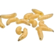 MBG Untuk Maggot